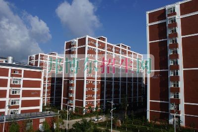 云南經(jīng)濟管理學院網(wǎng)站網(wǎng)址