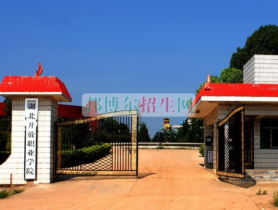 湖北開放職業(yè)學院網站網址