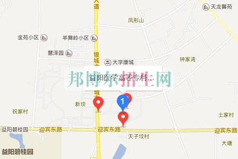 益陽醫(yī)學高等??茖W校