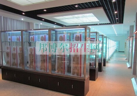 益陽醫(yī)學(xué)高等?？茖W(xué)校
