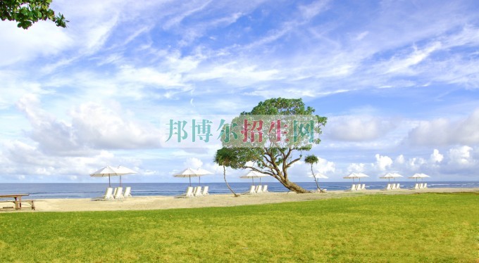 環(huán)境藝術(shù)設計專業(yè)好的大專學校