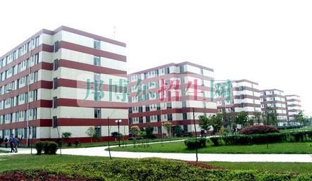 計算機(jī)多媒體技術(shù)好嗎