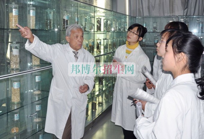 女生適合中醫(yī)學嗎