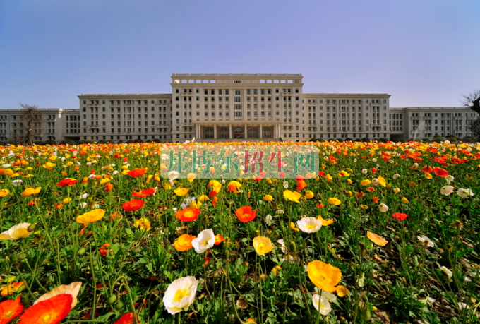 高考落榜學什么專業(yè)好