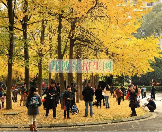 成都移動通信技術(shù)學校報名條件