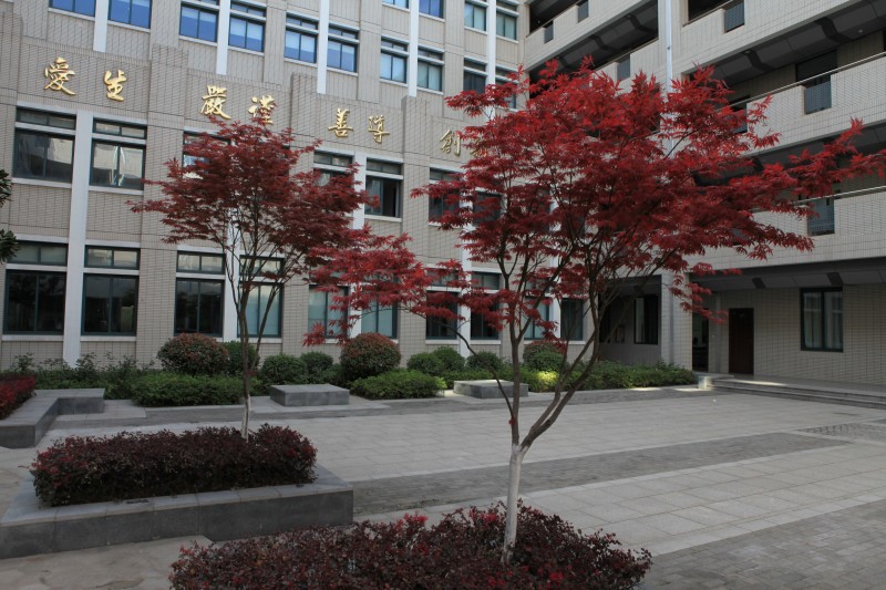 南京衛(wèi)生高等職業(yè)技術(shù)學(xué)校怎么樣、好不好