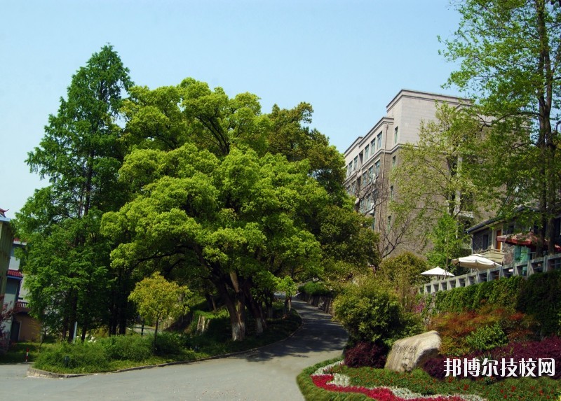 中國美術學院附屬中等美術學校2020年報名條件、招生要求、招生對象
