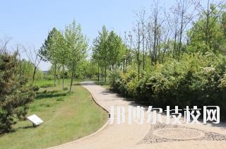 石家莊中英航空中等專業(yè)學(xué)校2020年報名條件、招生要求、招生對象