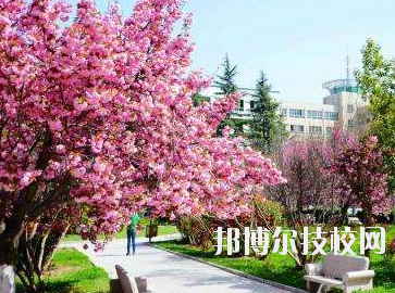 天水市職業(yè)技術(shù)學校網(wǎng)站網(wǎng)址 