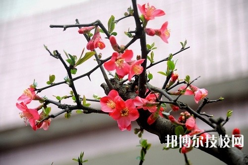 貴州廣播電影電視學(xué)校怎么樣、好不好