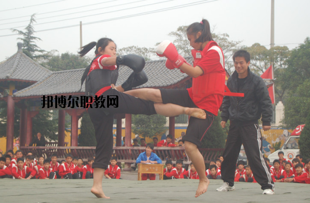 少林寺釋小龍武術中等專業(yè)學校網(wǎng)站網(wǎng)址