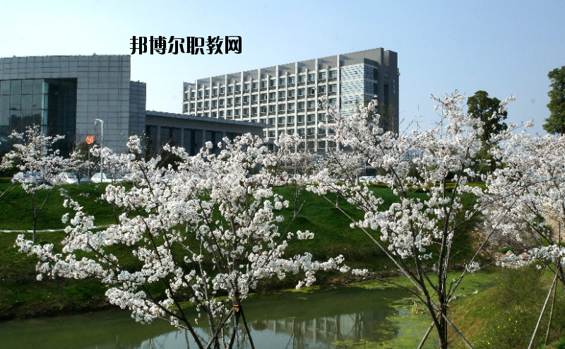 中國藥科大學(xué)2020年報名條件、招生要求、招生對象
