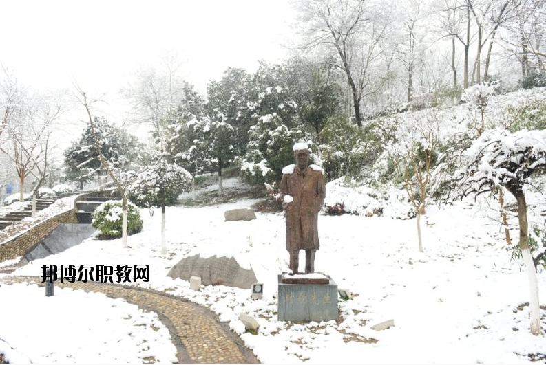 南京工業(yè)大學(xué)2020年報(bào)名條件、招生要求、招生對(duì)象