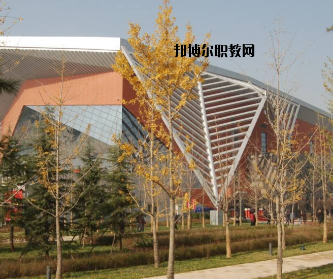 宜昌體育運動學校怎么樣、好不好
