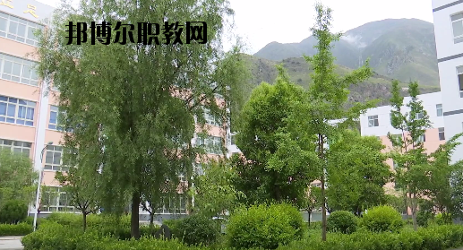 文縣職業(yè)技術(shù)學(xué)校2020年報名條件、招生要求、招生對象
