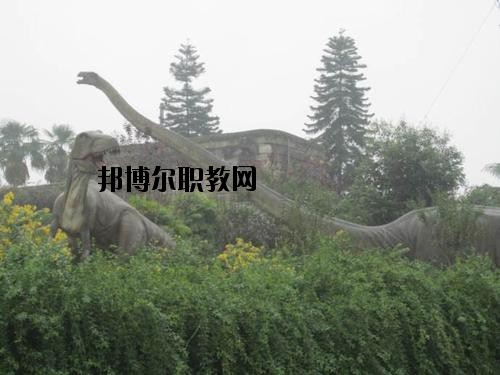 自貢三星職業(yè)技術(shù)學(xué)校2020年報(bào)名條件、招生要求、招生對(duì)象