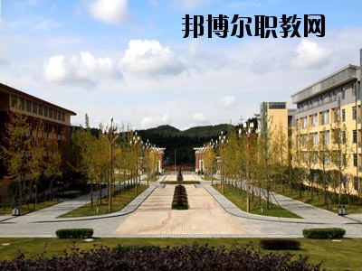 來賓衛(wèi)生學校2020年招生簡章