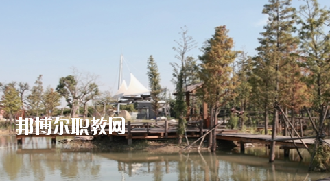 崇左八桂城市中等職業(yè)技術學校2020年招生辦聯系電話 