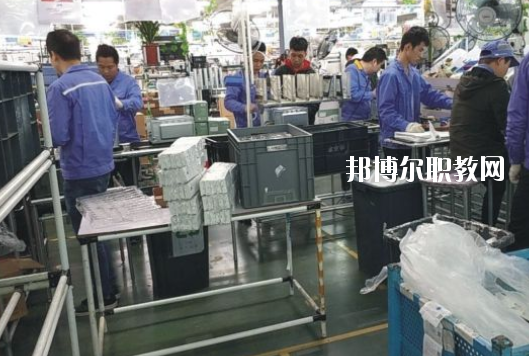 遂溪縣職業(yè)技術學校2020年報名條件、招生要求、招生對象