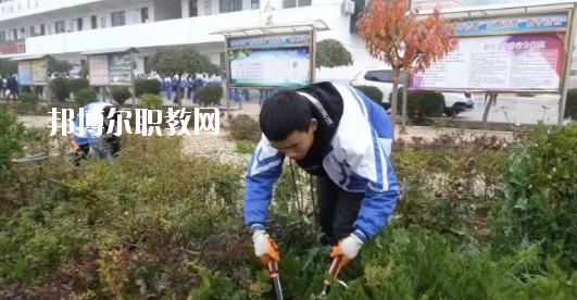 秦安縣古城農(nóng)業(yè)中學(xué)怎么樣、好不好