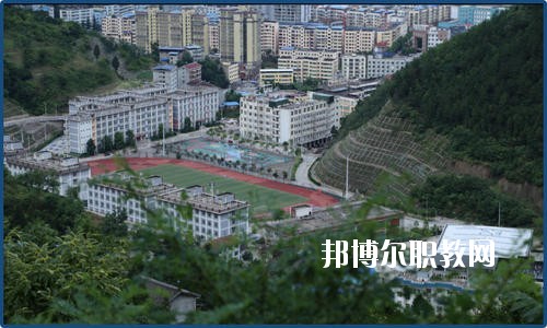 廣元朝天職業(yè)中學(xué)2020年報(bào)名條件、招生要求、招生對象