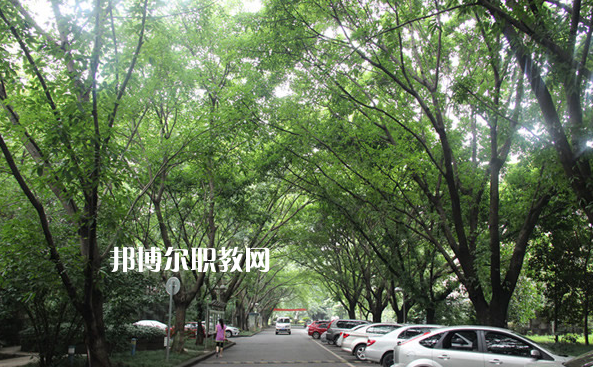 重慶2021年中專學(xué)?？梢钥即髮W(xué)嗎