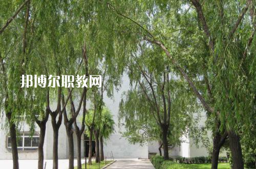 新疆喀什地區(qū)衛(wèi)生學(xué)校2021年報名條件、招生要求、招生對象