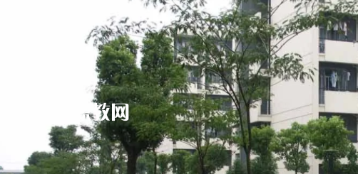 安徽工商行政管理學(xué)校怎么樣、好不好
