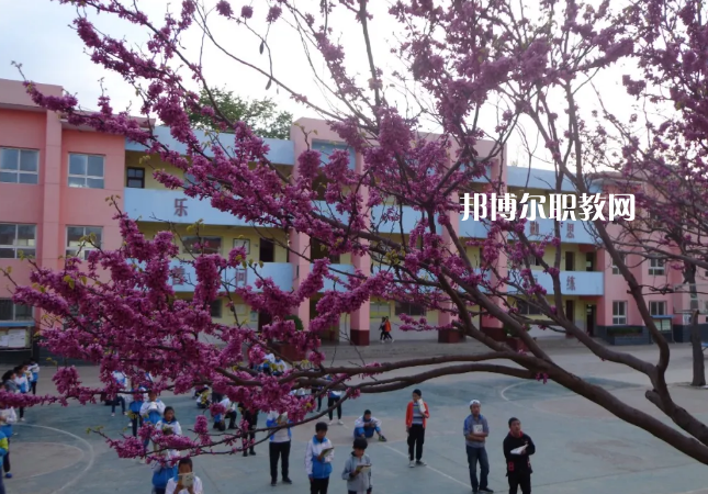 成縣化埡農(nóng)職業(yè)中學2022年有哪些專業(yè)