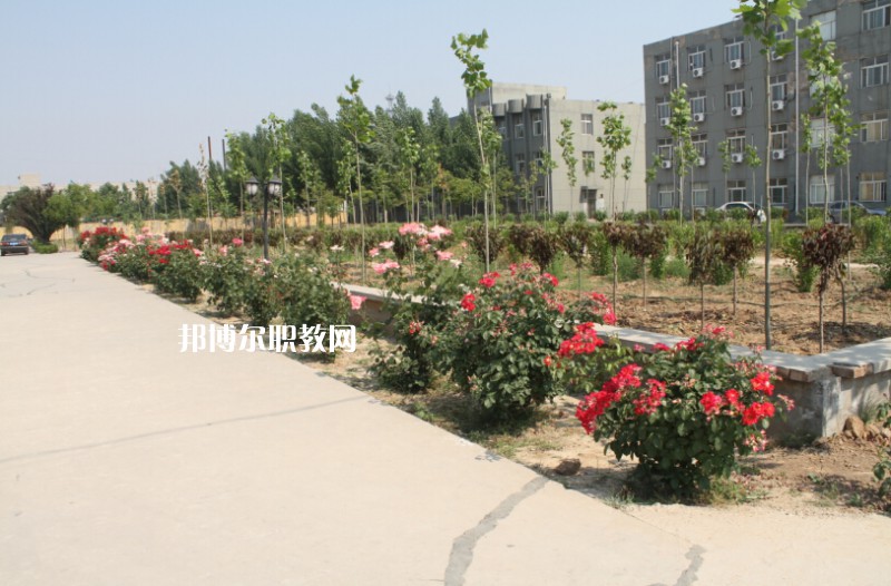 武強(qiáng)綜合職業(yè)技術(shù)教育中心2022年報名條件、招生要求、招生對象