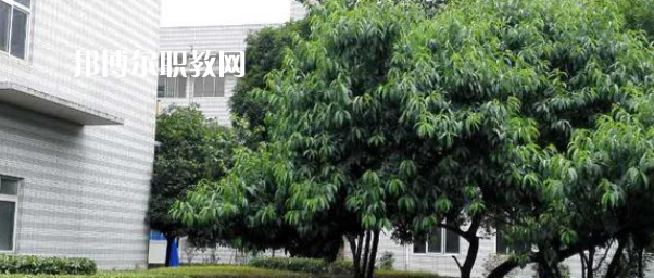 成都市中山職業(yè)技術(shù)學(xué)校2022年報(bào)名條件、招生要求、招生對(duì)象