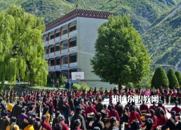 四川省藏文學(xué)校2022年報名條件、招生要求、招生對象