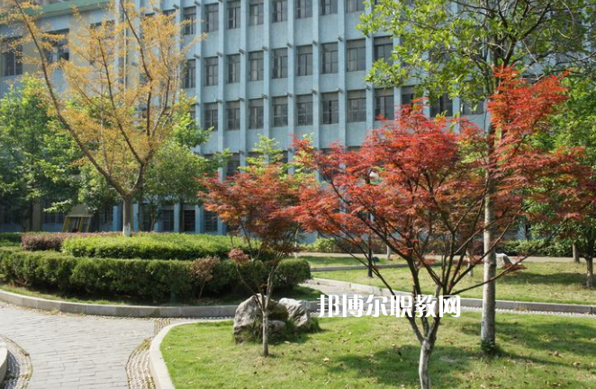 廉江市衛(wèi)生職業(yè)技術(shù)學(xué)校怎么樣、好不好