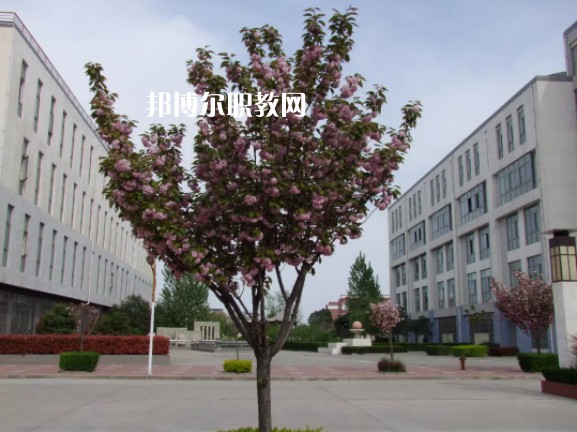 陳倉(cāng)區(qū)職業(yè)教育中心2022年報(bào)名條件、招生要求、招生對(duì)象