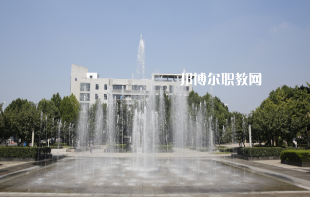 武漢儀表電子學校2022年網(wǎng)站網(wǎng)址