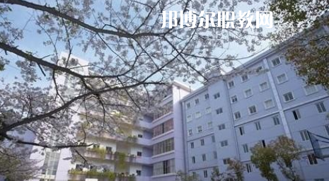武漢體育舞蹈藝術學校2022年怎么樣、好不好