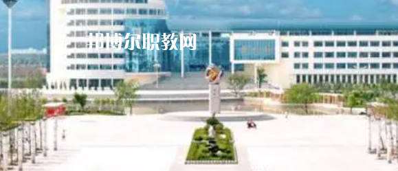 山東高職?？圃盒Ｅ琶?9強