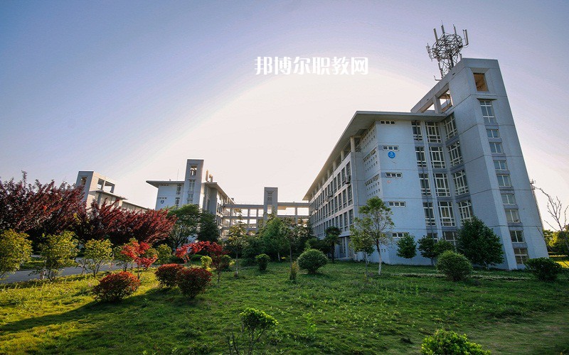安徽2023年計算機(jī)學(xué)校都能學(xué)什么