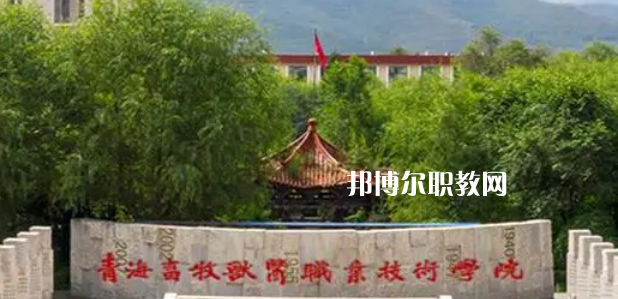 青海高職?？拼髮W(xué)2023年排名(文科)