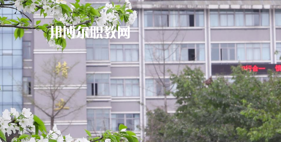 2023眉山技師學(xué)院多少錢(學(xué)費明細)