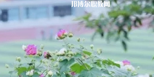眉山技師學院地址在哪里，哪個地區(qū)，哪個城市?