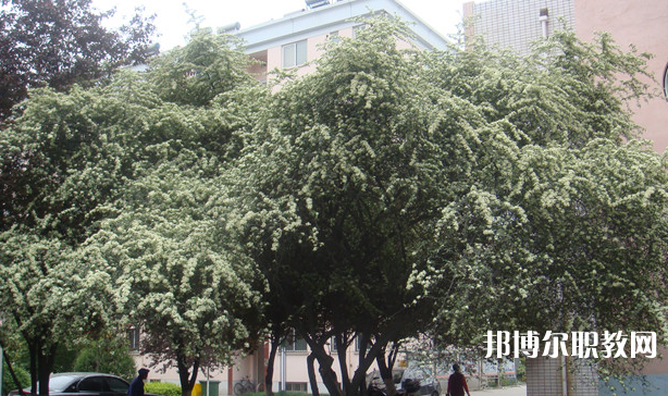 寶雞技師學(xué)院地址，乘車路線