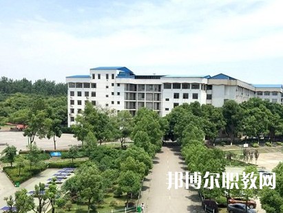 武漢技師學(xué)院2023年招生錄取分數(shù)線（2024參考）