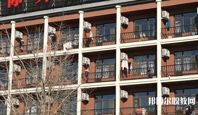 2024大連國際舞蹈學校招生計劃 招生人數(shù)是多少(附要求、條件、對象)