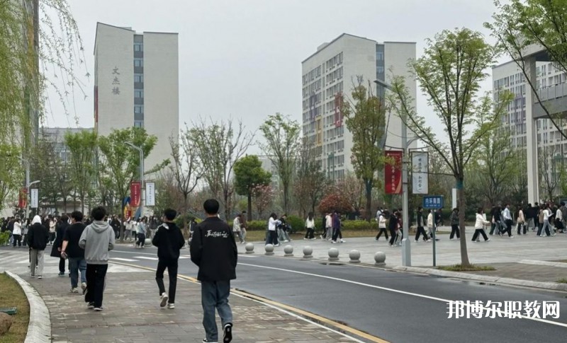 2025合肥技師學(xué)院招生計(jì)劃 招生人數(shù)是多少(附要求、條件、對(duì)象)